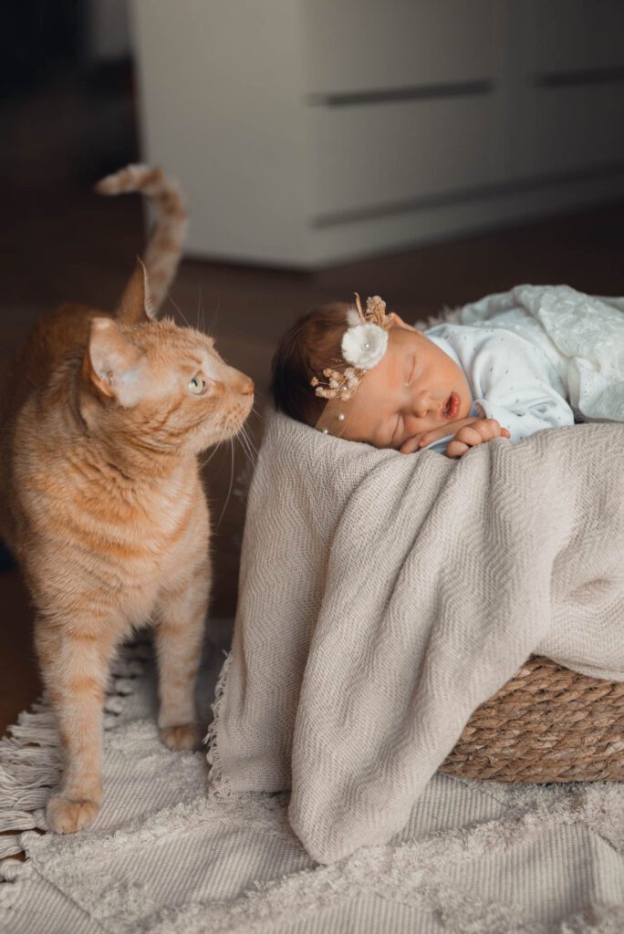 Homestory Babyfotografin Steiermark